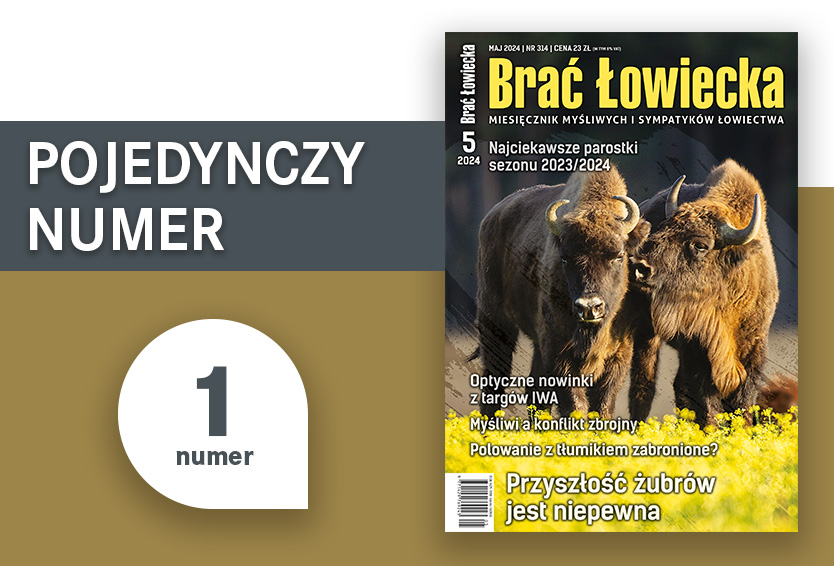 Pojedynczy numer BŁ - wydanie drukowane