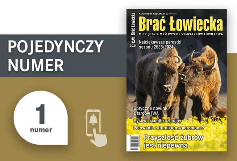 Pojedynczy numer BŁ - wydanie cyfrowe w formacie PDF